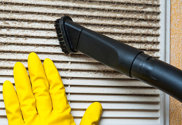 Best Mold and Mildew Removal from Ducts in USA